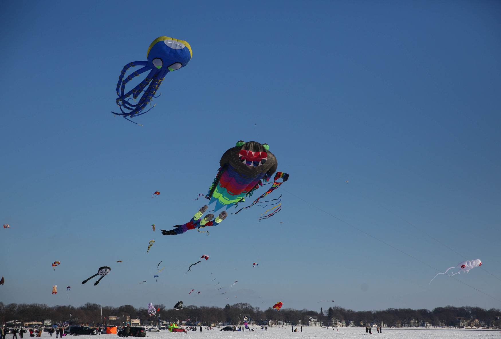 Color the Wind kite festival 02-15-2020 (80).jpg